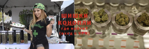 сатива Белоозёрский