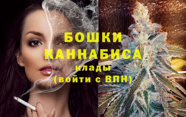 сатива Белоозёрский