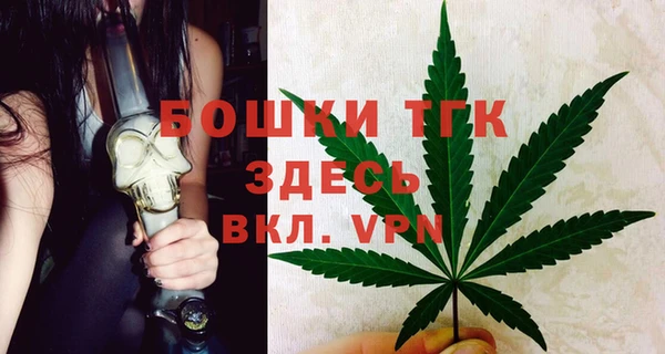 сатива Белоозёрский